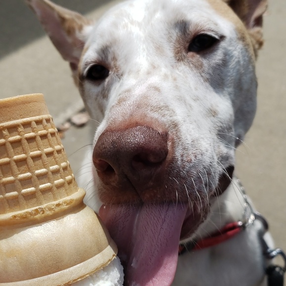 Meet your Posher, Jessa - Picture 1 of 1